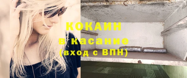 тгк Абаза