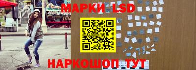 шишки Моздок