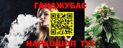 шишки Моздок
