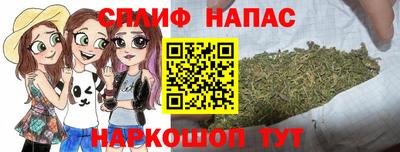 шишки Моздок