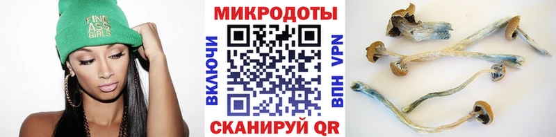 Галлюциногенные грибы Psilocybe  дарнет шоп  Шумерля 