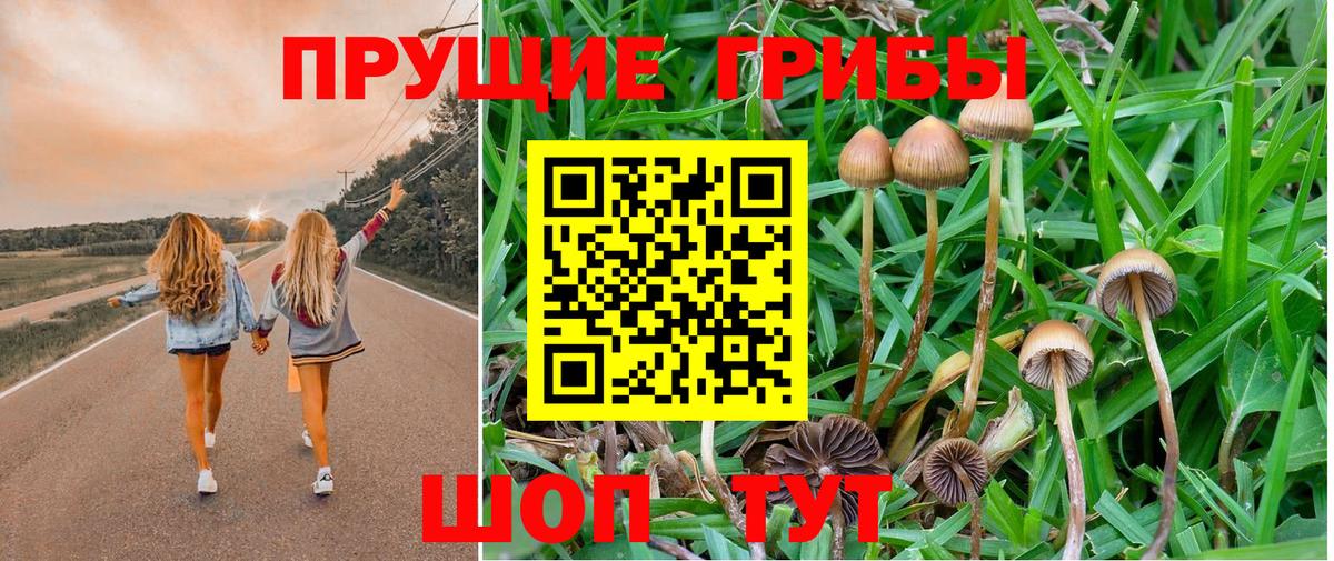 Шумерля  Псилоцибиновые грибы мухоморы  Псилоцибиновые грибы прущие грибы  цена   Вход с VPN 